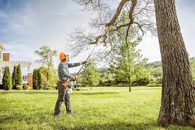 How Our Tree Care Process Works  in Mifflinburg, PA